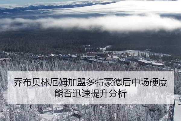乔布贝林厄姆加盟多特蒙德后中场硬度能否迅速提升分析